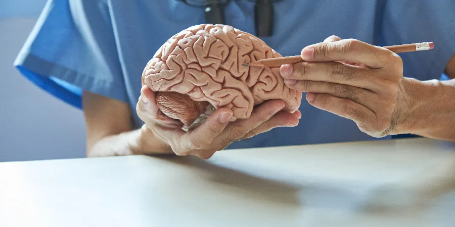 Neurology-01