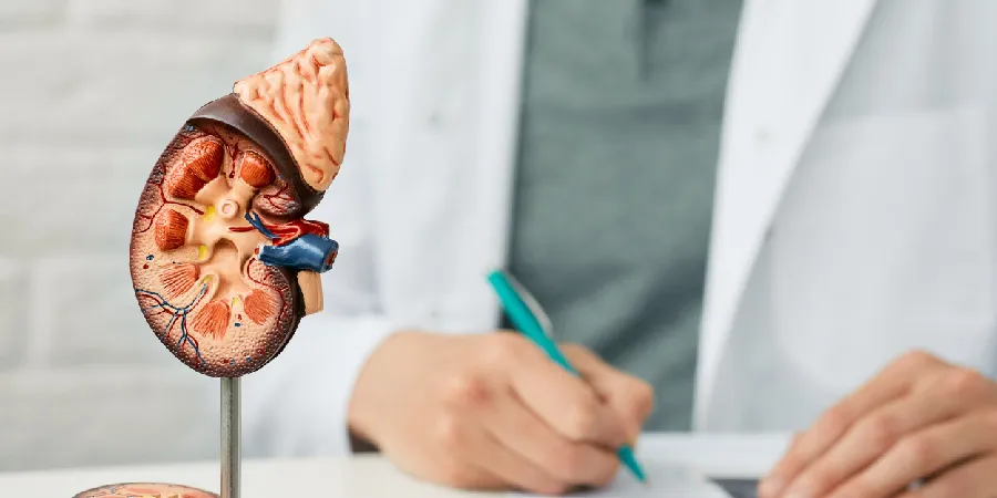 Urology-01