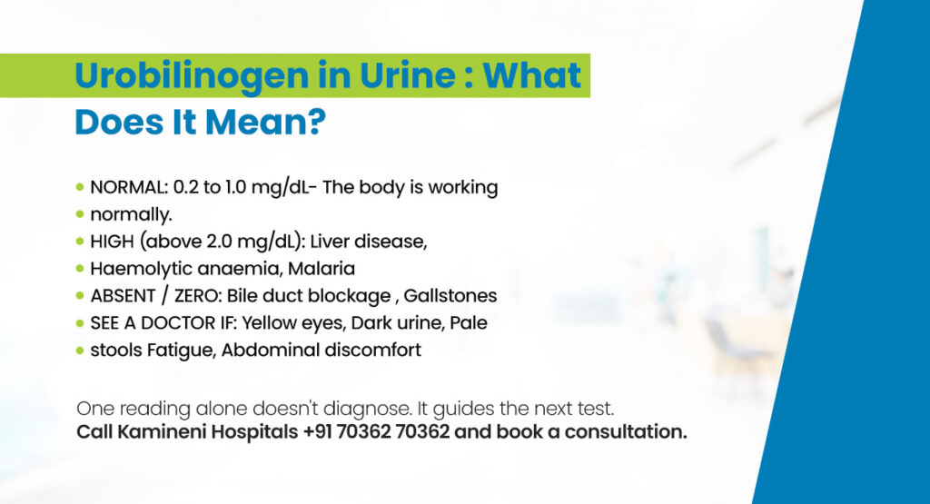 urobilinogen in urine